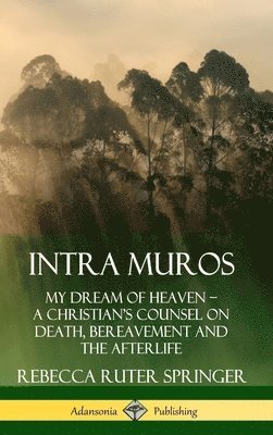 bokomslag Intra Muros: My Dream of Heaven - A Christian's Counsel on Death, Bereavement and the Afterlife (Hardcover)