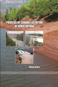 bokomslag Process of Channel Siltation of River Koyana