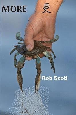 Rob Scott - More, Häftad