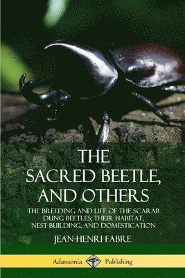 Jean-Henri Fabre - Sacred Beetle, and Others: The Breeding and Life of the Scarab Dung Beetles; their Habitat, Nest-Building, and Domestication, Häftad