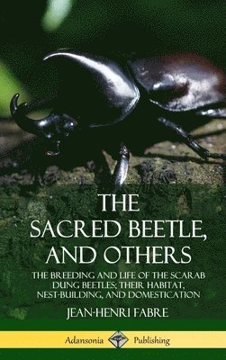 Sacred Beetle, and Others: The Breeding and Life of the Scarab Dung Beetles; their Habitat, Nest-Building, and Domestication (Hardcover)