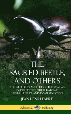 The Sacred Beetle, and Others: The Breeding and Life of the Scarab Dung Beetles; their Habitat, Nest-Building, and Domestication (Hardcover) 1