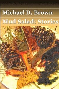 bokomslag Mud Salad