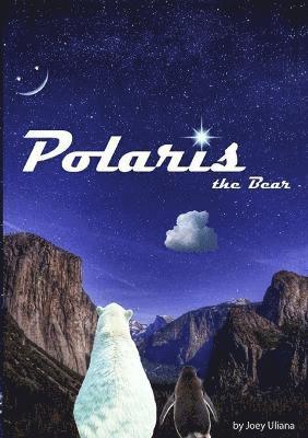 Polaris the Bear 1