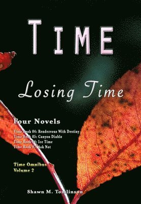 Shawn M Tomlinson, Shawn M. Tomlinson - Time, Inbunden