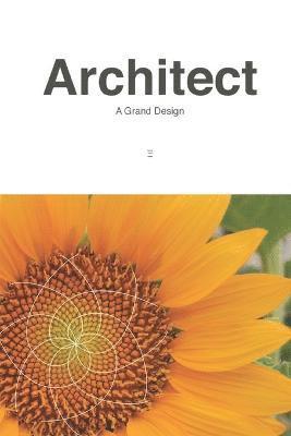 Architect 1