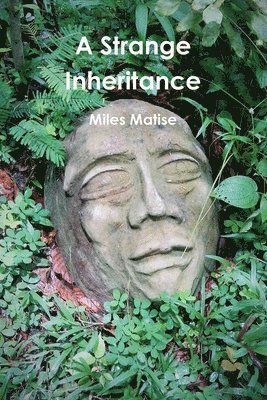 bokomslag Strange Inheritance