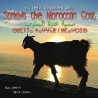 bokomslag Somaya the Moroccan Goat