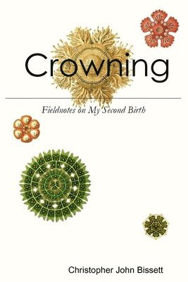 Crowning: Fieldnotes on My Second Birth 1