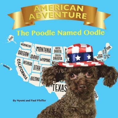 bokomslag AMERICAN ADVENTURE THE POODLE NAMED OODLE