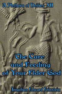 bokomslag The Care and Feeding of Your Elder God