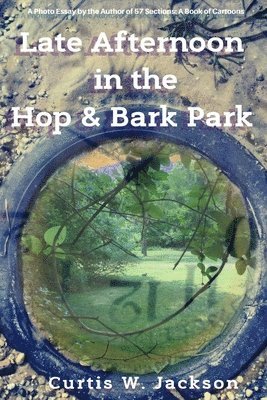 Late Afternoon in the Hop and Bark Park 1