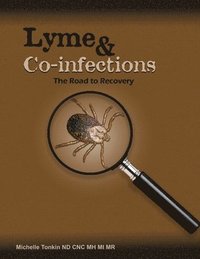 bokomslag Lyme and Co-infections, the Road to Recovery
