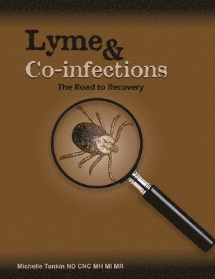 bokomslag Lyme and Co-infections, the Road to Recovery