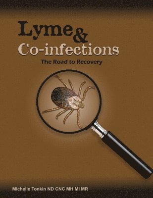 bokomslag Lyme and Co-infections, the Road to Recovery