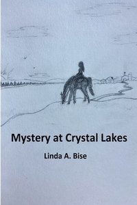 bokomslag Mystery at Crystal Lakes