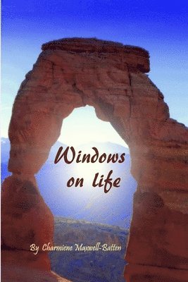 bokomslag Windows on Life