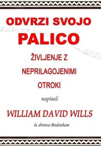 bokomslag Odvrzi svojo palico - ?ivljenje z neprilagojenimi otroki