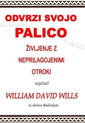 bokomslag Odvrzi svojo palico - ?ivljenje z neprilagojenimi otroki