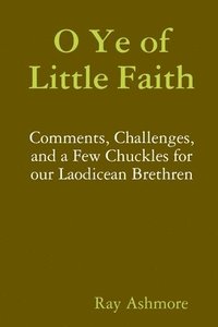 bokomslag O Ye of Little Faith