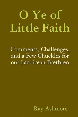 O Ye of Little Faith 1