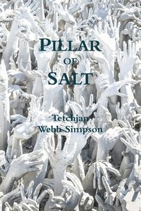 bokomslag Pillar of Salt