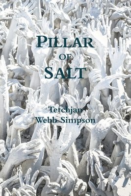 Pillar of Salt 1