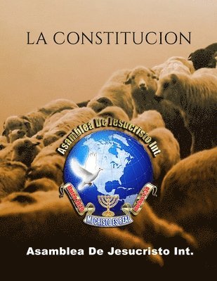 bokomslag Nuestra Constitución