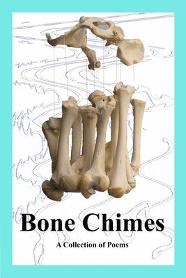 bokomslag Bone Chimes