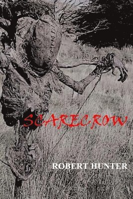 bokomslag Scarecrow