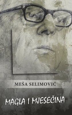 Magla i mjesečina