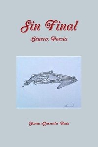 bokomslag Sin Final