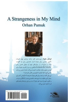 Strangeness in My Mind