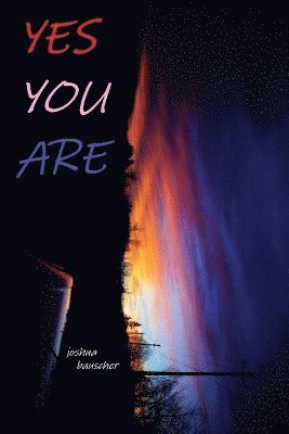 bokomslag Yes You Are