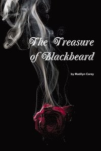 bokomslag Treasure of Blackbeard