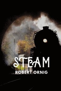 bokomslag Steam