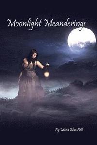 bokomslag Moonlight Meanderings