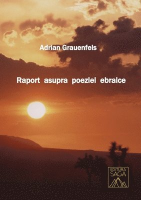 bokomslag Raport asupra poeziei ebraice