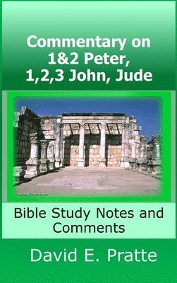 Commentary on 1&2 Peter, 1,2,3 John, Jude: Bible Study Notes and Comments 1