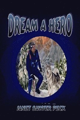 bokomslag Dream a Hero