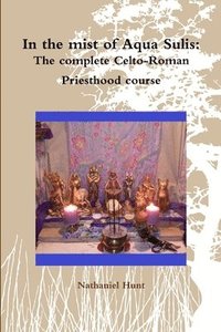 bokomslag In the mist of Aqua Sulis: The complete Celto-Roman Priesthood course