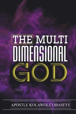 bokomslag Multi-dimentional God