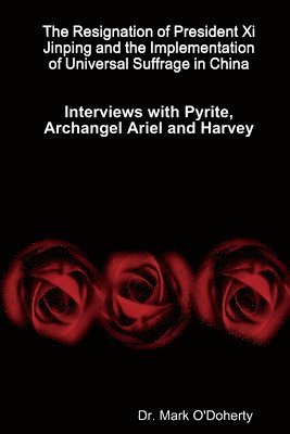 The Resignation of President Xi Jinping and the Implementation of Universal Suffrage in China - Interviews with Pyrite, Archangel Ariel and Harvey 1