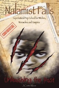 bokomslag Nalamist Falls: Supernatural Prep School for Witches, Werewolves and Vampires - Unleashing the Past