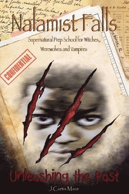 bokomslag Nalamist Falls: Supernatural Prep School for Witches, Werewolves and Vampires - Unleashing the Past