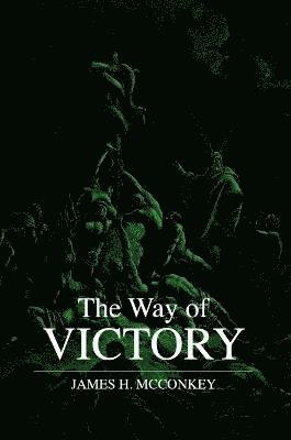 bokomslag Way of Victory