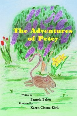 bokomslag The Adventures of Petey