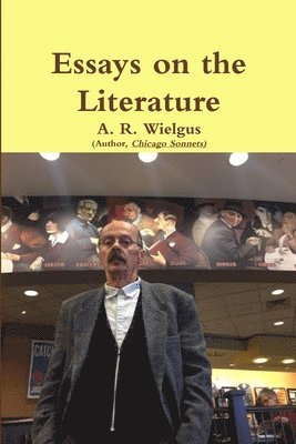 bokomslag Essays on the Literature