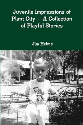 Juvenile Impressions of Plant City - A Collection of Playful Stories 1