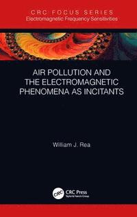 bokomslag Air Pollution and the Electromagnetic Phenomena as Incitants